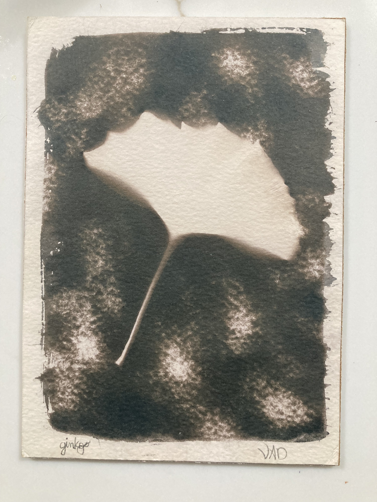 Ginkgo leaf