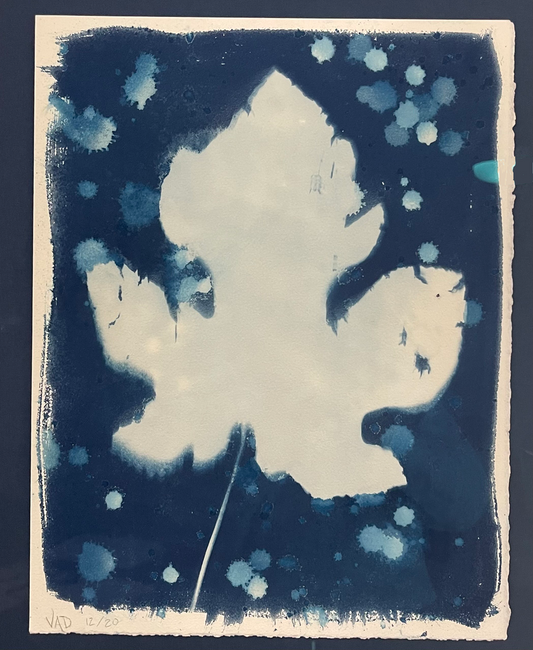 Fig leaf